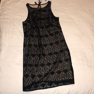 Loft dress. Size 6 NWT